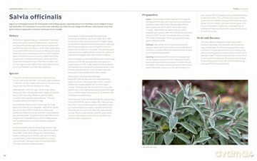 100 Herbs To Grow - Jekka Mcvicar [KSIĄŻKA]