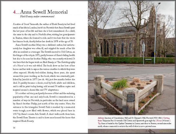 111 Places in Norwich That You Shouldn't Miss: Travel Guide (111 Places) - Martin Dunford [KSIĄŻKA]
