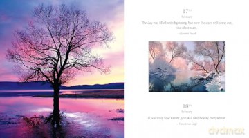 365 Thoughts For Connecting With Nature - White Star [KSIĄŻKA]