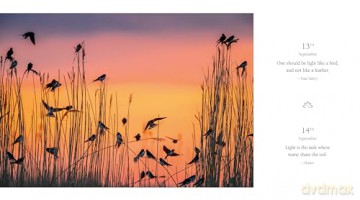 365 Thoughts For Connecting With Nature - White Star [KSIĄŻKA]