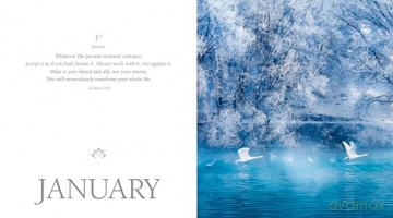 365 Thoughts For Connecting With Nature - White Star [KSIĄŻKA]
