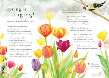 A Field Guide To Spring - Gabby Dawnay [KSIĄŻKA]