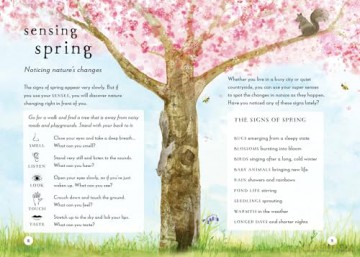 A Field Guide To Spring - Gabby Dawnay [KSIĄŻKA]