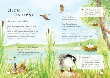A Field Guide To Spring - Gabby Dawnay [KSIĄŻKA]
