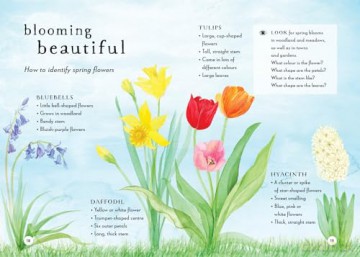 A Field Guide To Spring - Gabby Dawnay [KSIĄŻKA]