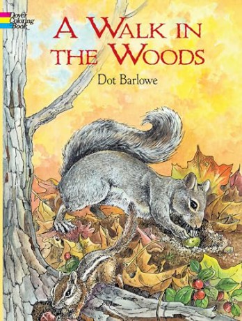 A Walk In The Woods Coloring Book - Unknown [KSIĄŻKA]