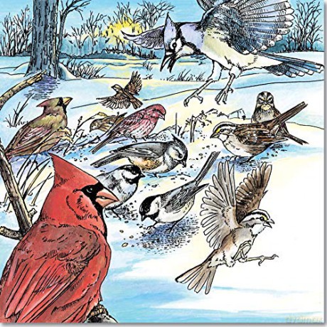 A Walk In The Woods Coloring Book - Unknown [KSIĄŻKA]