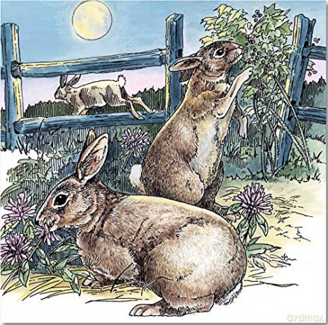 A Walk In The Woods Coloring Book - Unknown [KSIĄŻKA]