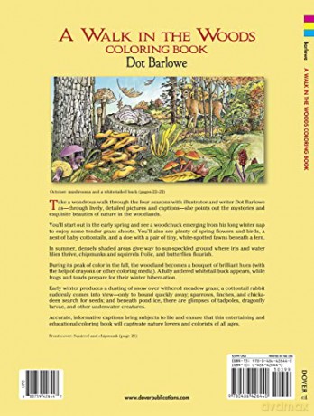 A Walk In The Woods Coloring Book - Unknown [KSIĄŻKA]