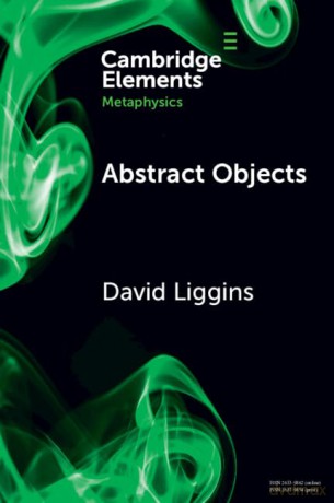 Abstract Objects - Liggins David [KSIĄŻKA]