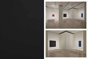 Ad Reinhardt Color Out Of Darkness Hb - Lasky, Op Reinhardt [KSIĄŻKA]