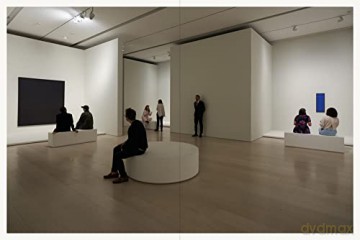 Ad Reinhardt Color Out Of Darkness Hb - Lasky, Op Reinhardt [KSIĄŻKA]