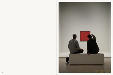 Ad Reinhardt Color Out Of Darkness Hb - Lasky, Op Reinhardt [KSIĄŻKA]