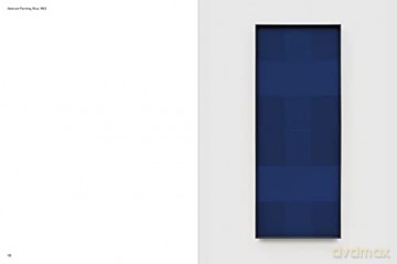 Ad Reinhardt Color Out Of Darkness Hb - Lasky, Op Reinhardt [KSIĄŻKA]
