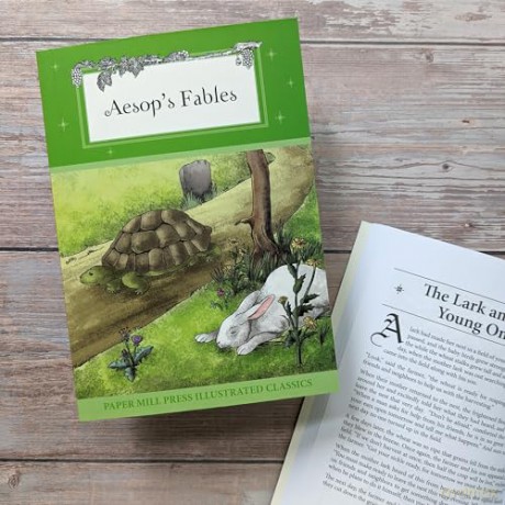 Aesops Fables - J Emmerson [KSIĄŻKA]
