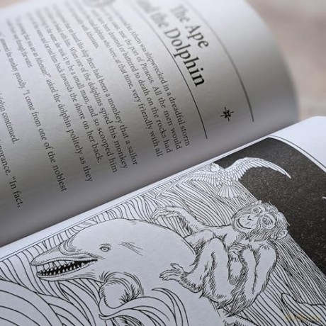 Aesops Fables - J Emmerson [KSIĄŻKA]