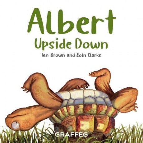 Albert Upside Down - Ian Brown [KSIĄŻKA]