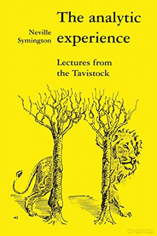 Analytic Experience - Neville Symington [KSIĄŻKA]