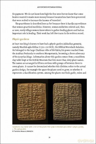 Ancient Mesopotamian - arbara B Ck [KSIĄŻKA]