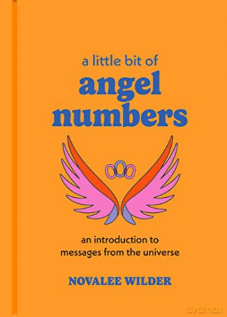 Angel Numbers - Novalee Wilder [KSIĄŻKA]