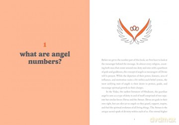Angel Numbers - Novalee Wilder [KSIĄŻKA]