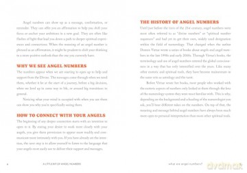 Angel Numbers - Novalee Wilder [KSIĄŻKA]