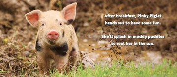 Animal Adventures Day At The Farm - Alexandra Claire [KSIĄŻKA]