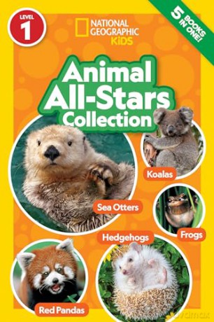 Animal All Stars 4 In 1 Collection [KSIĄŻKA]