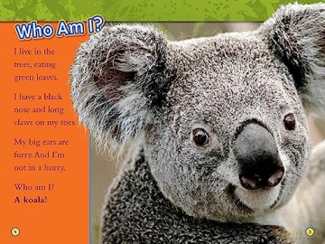 Animal All Stars 4 In 1 Collection [KSIĄŻKA]