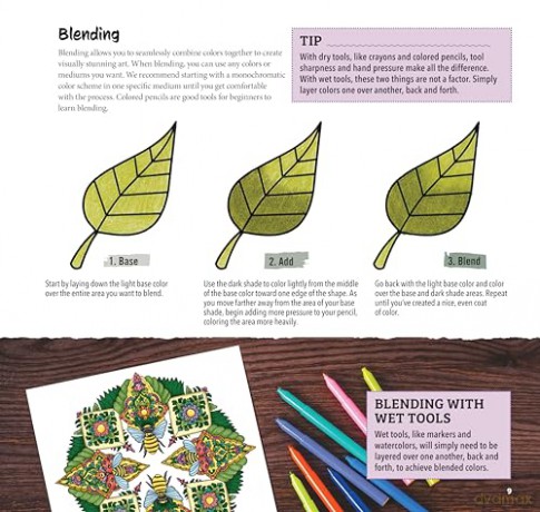 Animal Kingdom Mandalas Coloring Book - Nanna Rosengren [KSIĄŻKA]