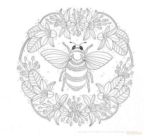 Animal Kingdom Mandalas Coloring Book - Nanna Rosengren [KSIĄŻKA]