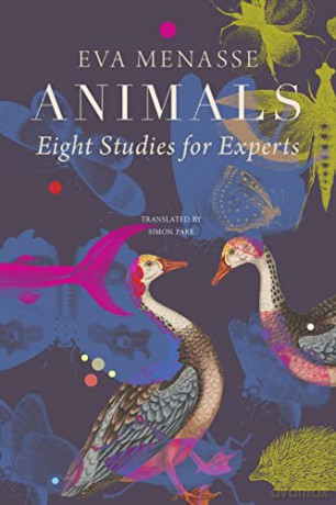 Animals Eight Studies For Experts - Eva Menasse [KSIĄŻKA]
