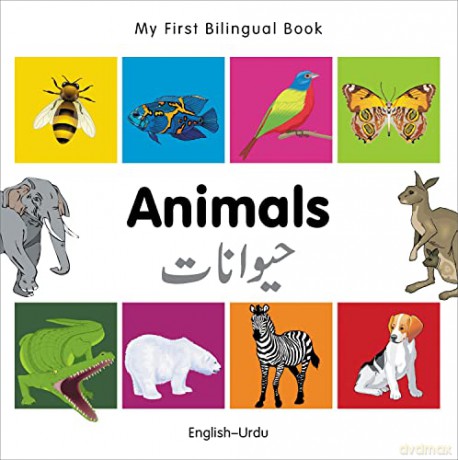 Animals English-Urdu - Milet [KSIĄŻKA]