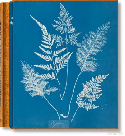 Anna Atkins: Cyanotypes - Peter Walther [KSIĄŻKA]