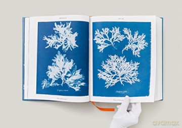 Anna Atkins: Cyanotypes - Peter Walther [KSIĄŻKA]