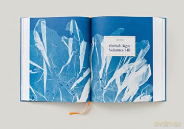 Anna Atkins: Cyanotypes - Peter Walther [KSIĄŻKA]