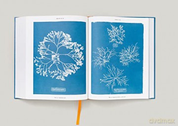 Anna Atkins: Cyanotypes - Peter Walther [KSIĄŻKA]