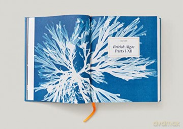 Anna Atkins: Cyanotypes - Peter Walther [KSIĄŻKA]