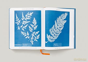 Anna Atkins: Cyanotypes - Peter Walther [KSIĄŻKA]