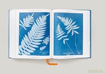 Anna Atkins: Cyanotypes - Peter Walther [KSIĄŻKA]