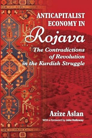 Anti Capitalist Economy In Rojava - zize Aslam [KSIĄŻKA]