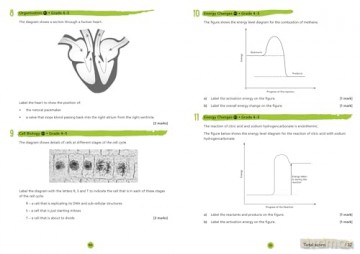 Aqa Gcse 9 1 Comb F Exam Skill [KSIĄŻKA]