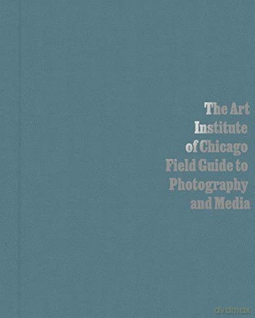 Art Institute Of Chicago Field Guide To [KSIĄŻKA]