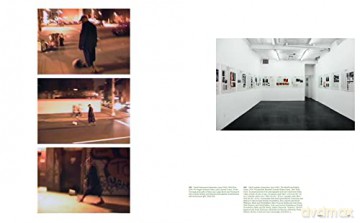 Art Institute Of Chicago Field Guide To [KSIĄŻKA]