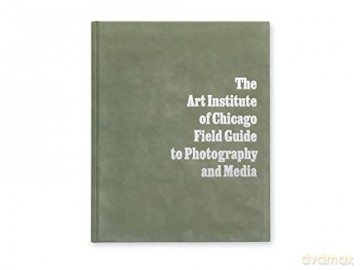 Art Institute Of Chicago Field Guide To [KSIĄŻKA]