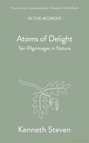 Atoms Of Delight - Kenneth Steven [KSIĄŻKA]