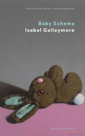 Baby Schema - Isabel Galleymore [KSIĄŻKA]