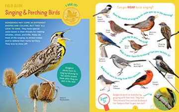 Backpack Explorer Bird Watch [KSIĄŻKA]