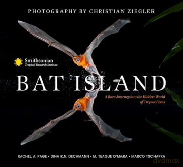 Bat Island - Christian Ziegler [KSIĄŻKA]