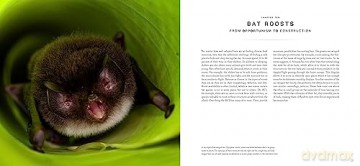 Bat Island - Christian Ziegler [KSIĄŻKA]